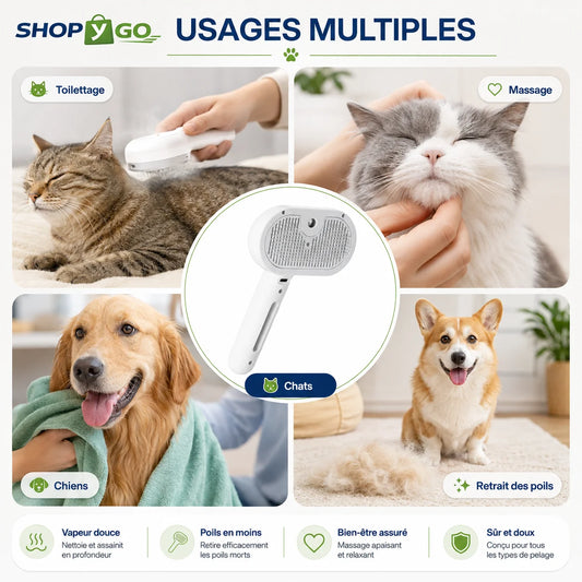 Brosse Brumisateur Rechargeable pour Chiens & Chats – Toilettage & Démêlage